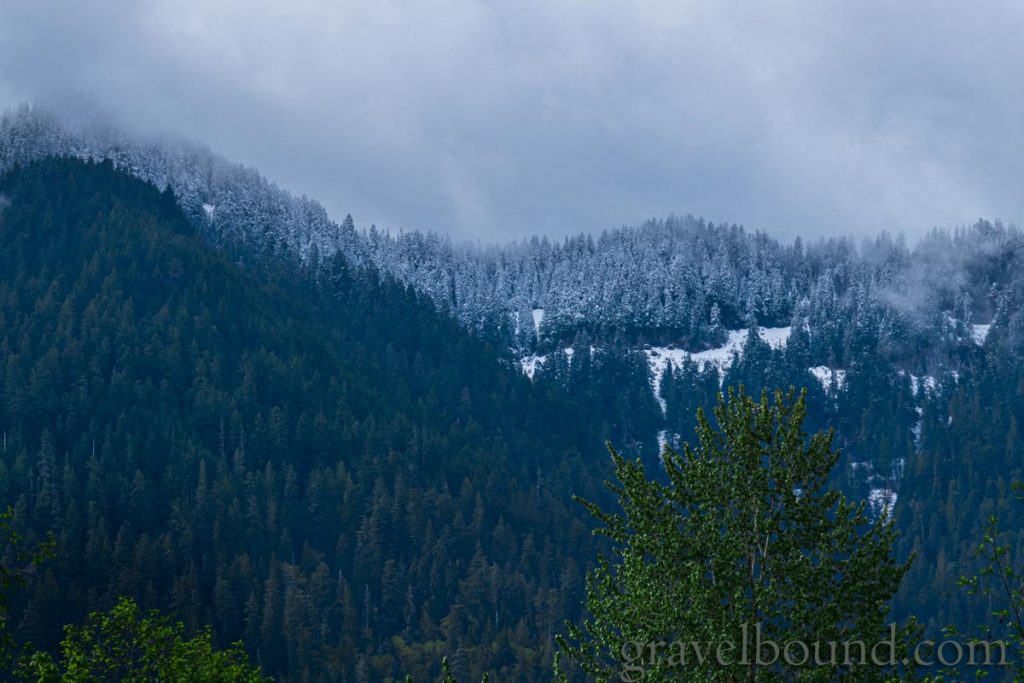 A Fresh Dusting of Snow on the Mountain Top Evergeen Trees