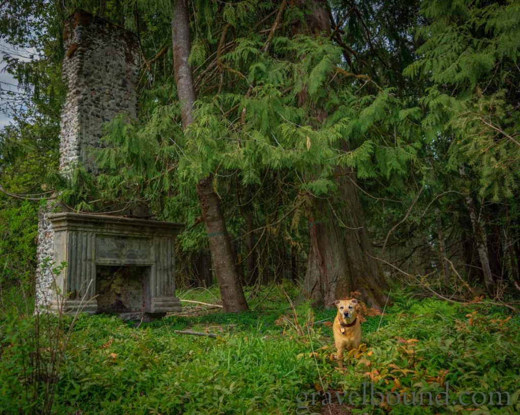 Emma Posing with Old Fireplace in the Woods