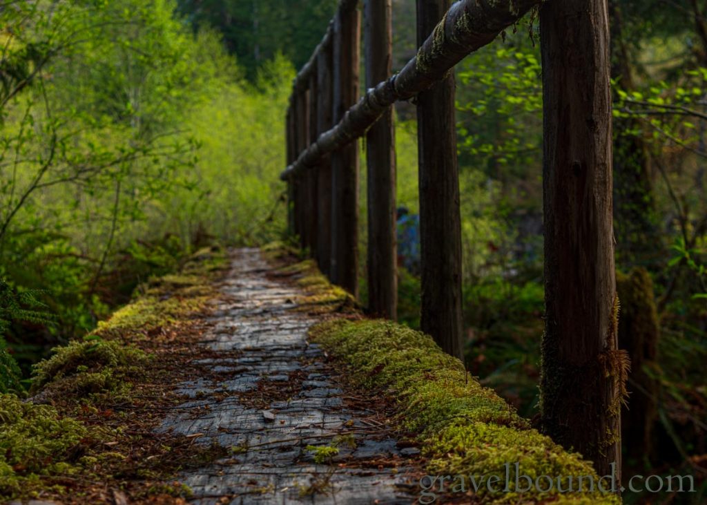 Well Used Log Bridge Covered in Moss