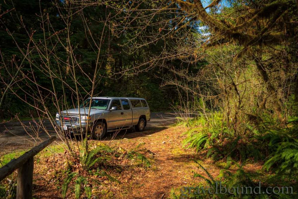 Truck Adventure Through the Forest