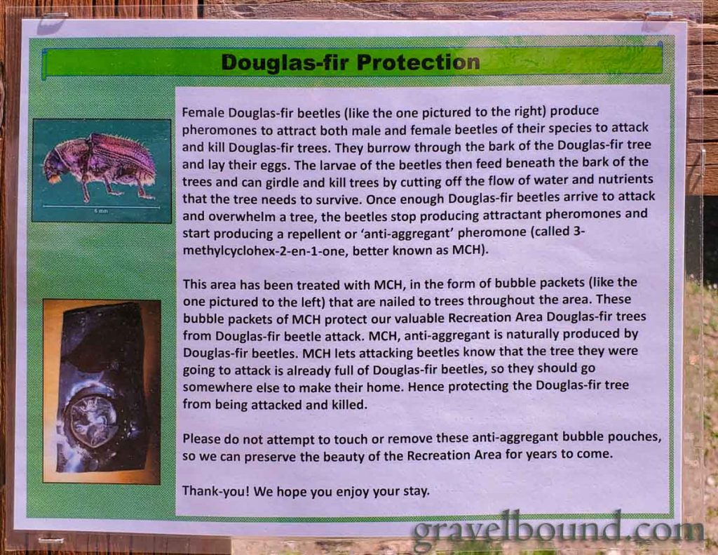 Info Sign about Douglas-Fir Beetles and Repellent Efforts