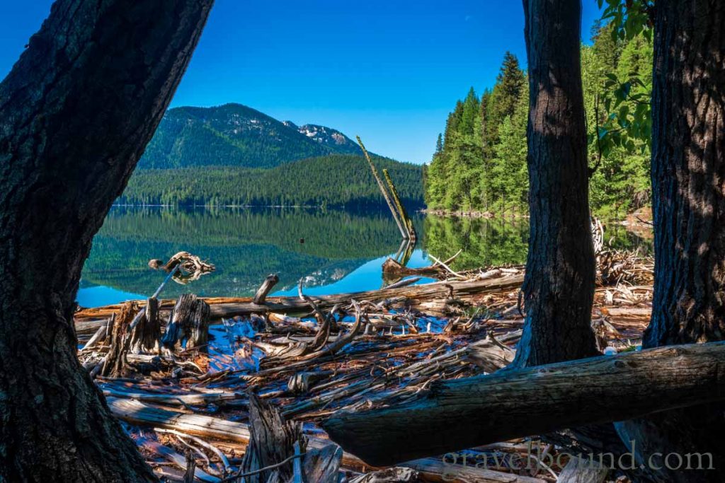Bumping Lake floating log Debris