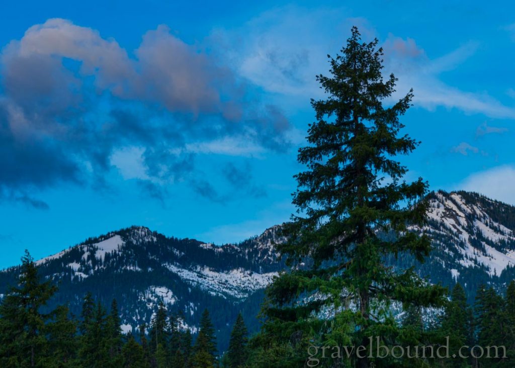 Snow on the mountains with green trees standing tall
