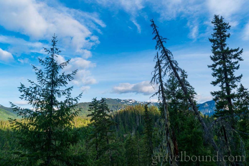 Evergreen forest, mountains and clouds, what a view!