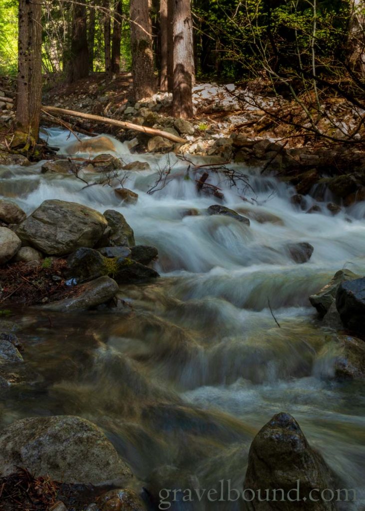 Roadside mountain stream flowing through the forest