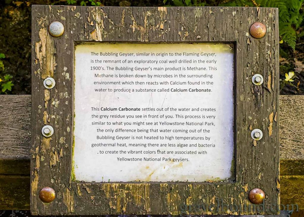Bubbling Geyser Information Board