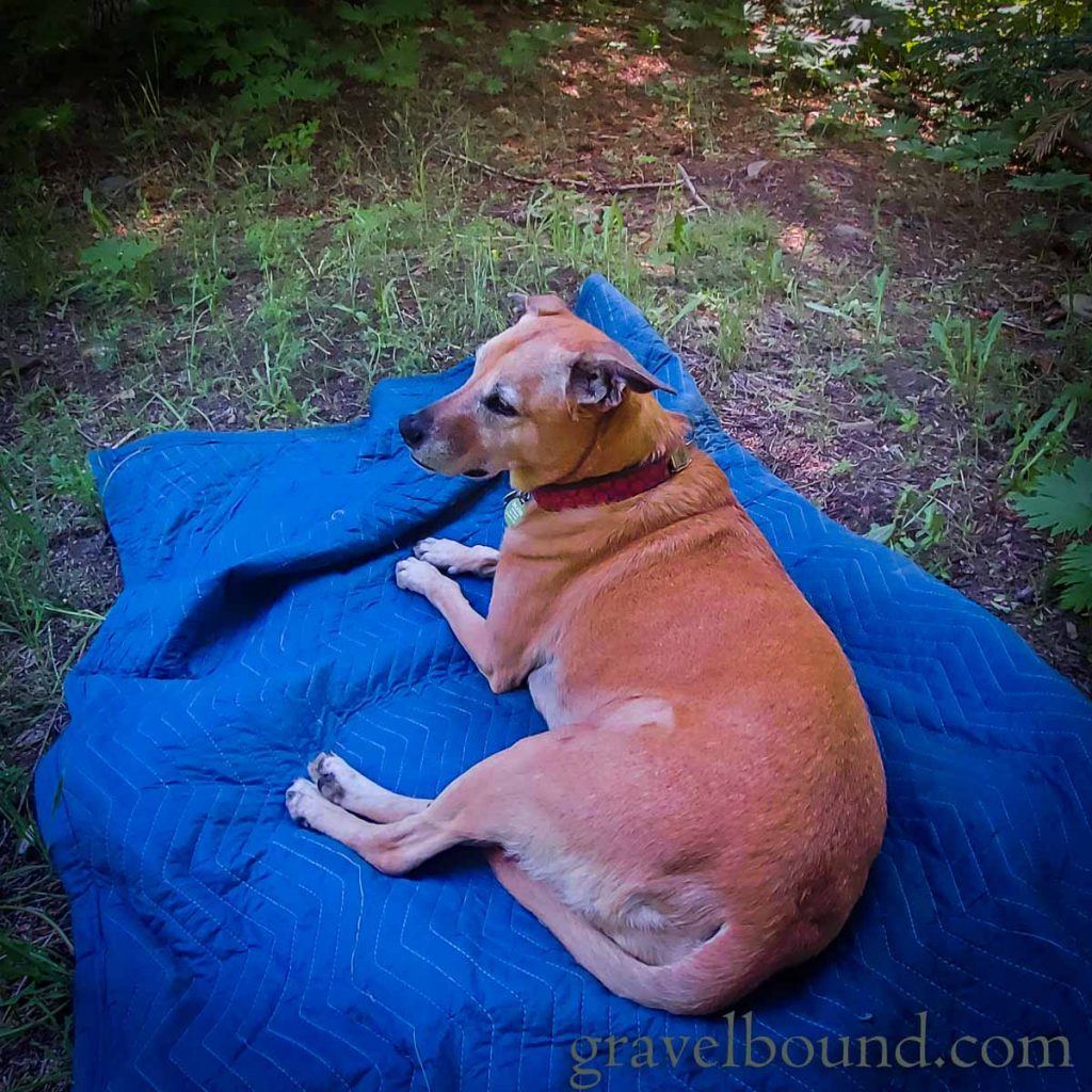 Emma Relaxing at Camp on her Blanket