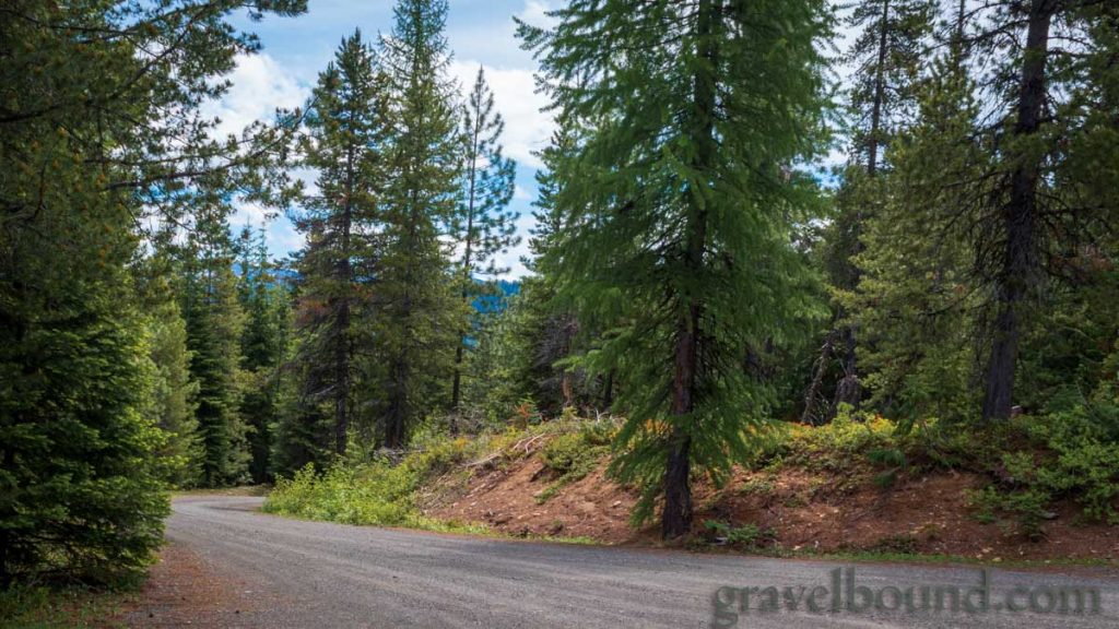 Gravel Road leading to Round Mountain Trailhead
