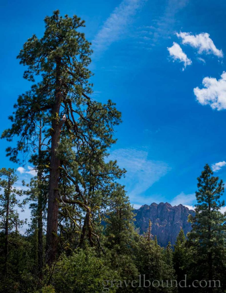 Pines, Blue Sky and Kloochman Rock