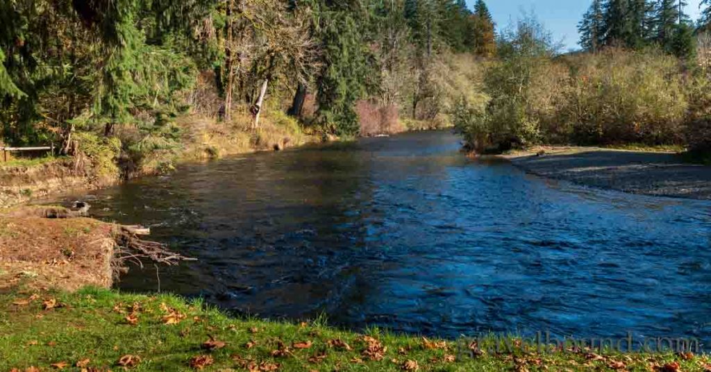Riverbend on the Satsop River