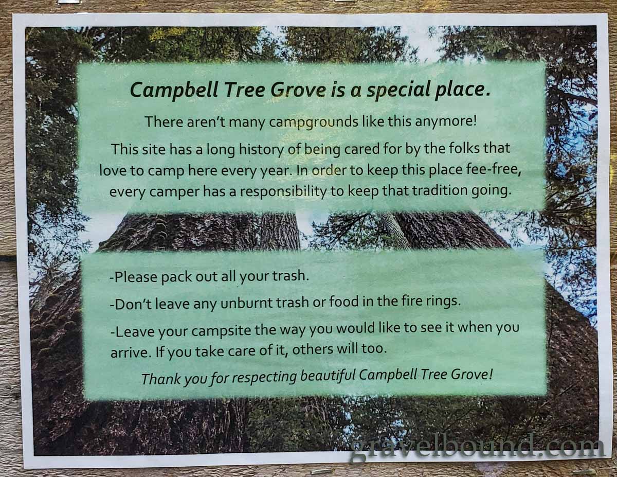 Campbell Tree Grove is a Special Place
