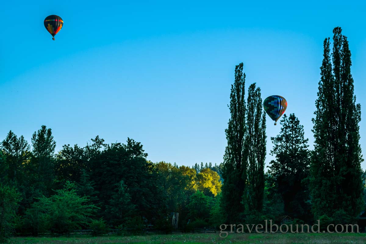 Pair of Hot Air Balloons nex to the Poplar Trees